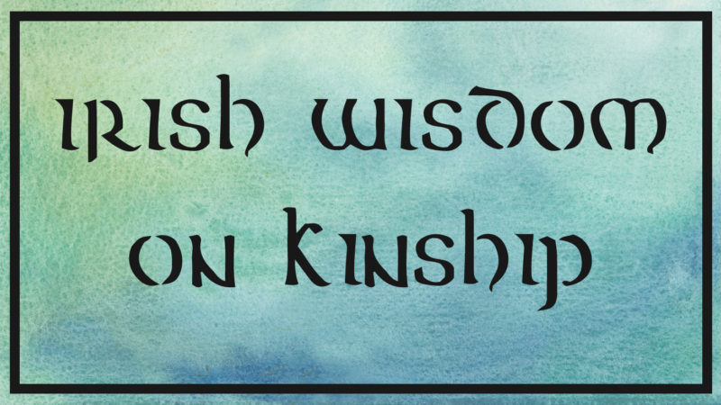 irish wisdom wednesday on kinship
